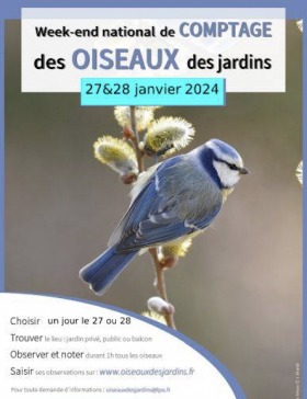Grand comptage des oiseaux 24-27-28Janvier 2024 - Maison Pêche et Nature 92