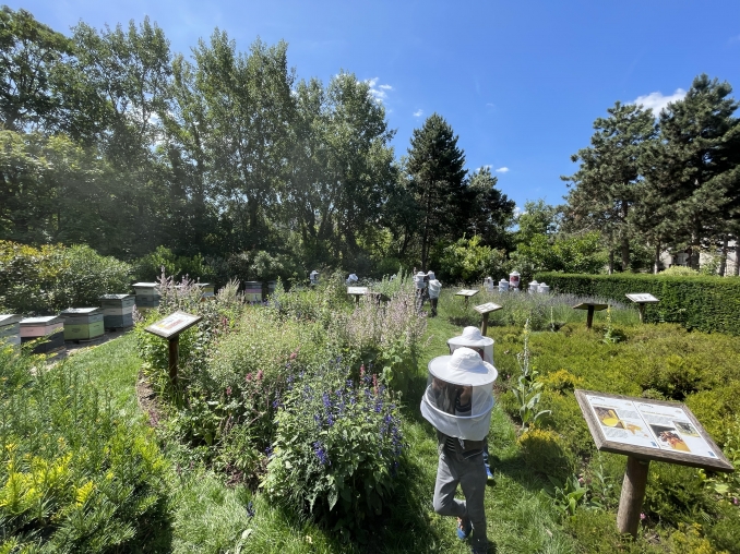 Ateliers thématiques groupes scolaires et centres de loisirs - Maison Pêche et Nature 92