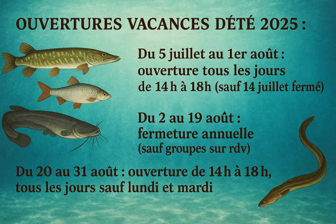 Bienvenue au Musée Aquarium de la Seine - Maison Pêche et Nature 92