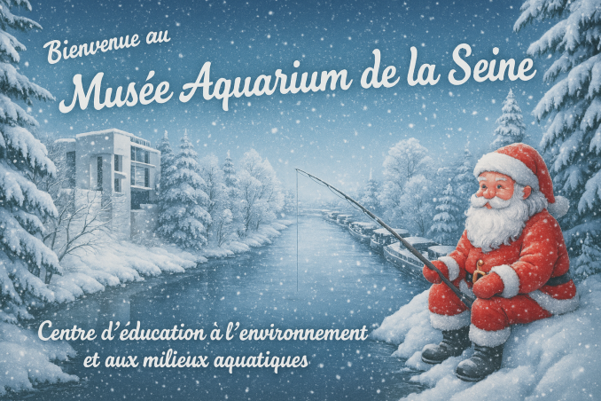Bienvenue au Musée Aquarium de la Seine - Maison Pêche et Nature 92