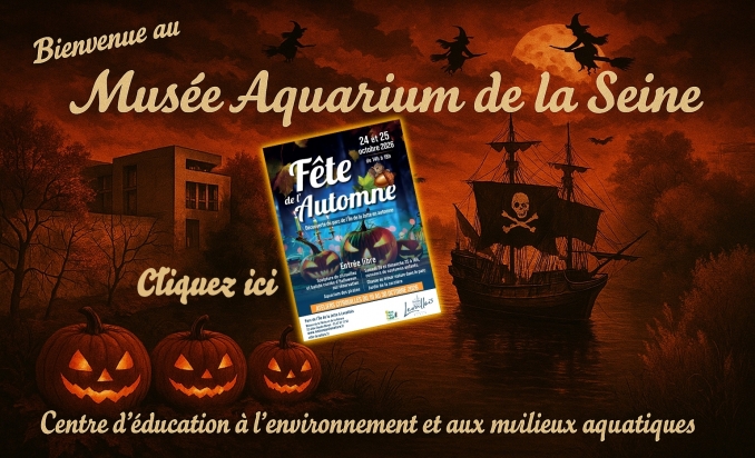 Bienvenue au Musée Aquarium de la Seine - Maison Pêche et Nature 92